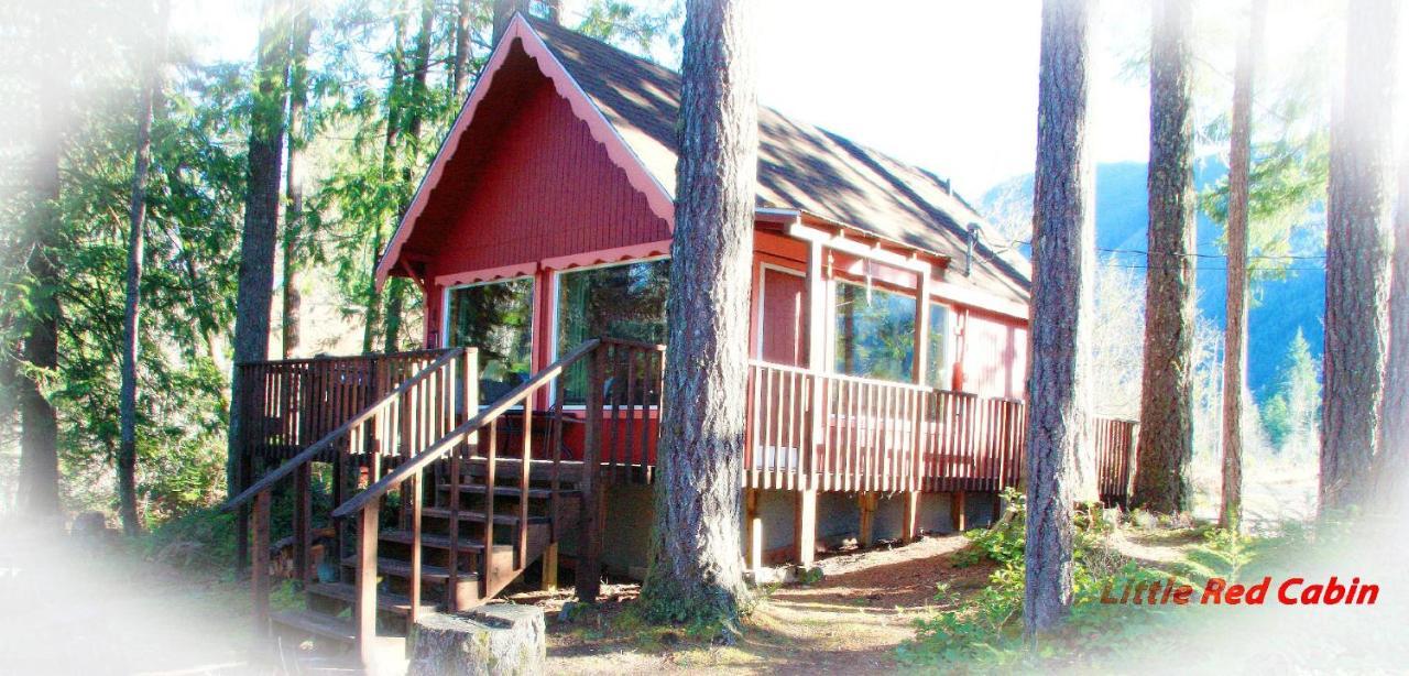 אשפורד Mt Rainier Little Red Cabin מראה חיצוני תמונה